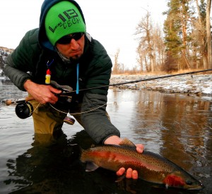 Broke ice to get this one