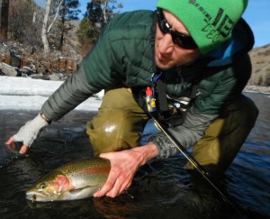 Another nice catch on the Golden Stone.