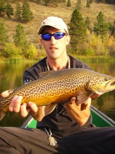 Tiger Trout