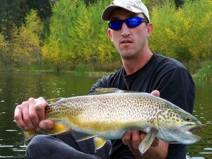 Tiger Trout