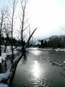 Methow River North of Carlton