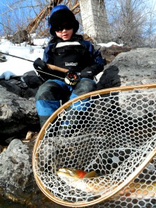 Fins first steel in the net