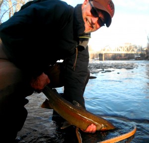 Peter S. with a nice early morning steel