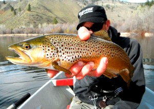 Here's lookin at you