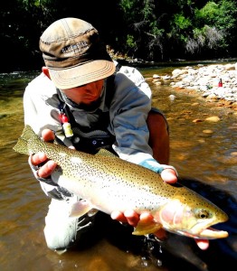 Giant Chewuch Cuttbow