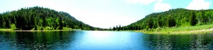 Buzzard Lake