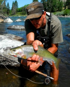 965791_10201871567773596_2121807809_o