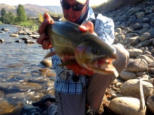 Methow Cuttbow