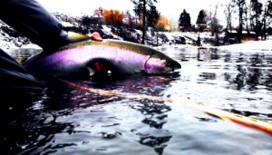 Methow Chrome