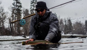 Another nice buck in the snow.