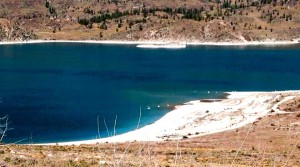 Cow Pie Beach