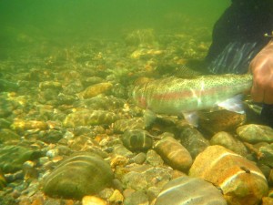 10343012_10207127702053668_2762974703823471267_n