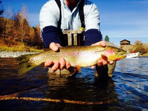 Methow Cuttbow