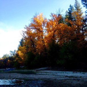 12072583_10208118717988447_9072692897178265156_n