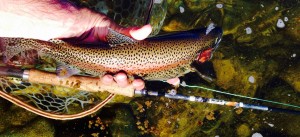 12132413_10208142164694600_2382329442289446714_o