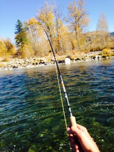 12141679_10208142164774602_7153226552292391426_n