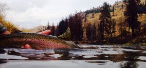 12182457_10208239780614937_4051853465746285970_o