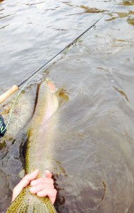 12190993_10208239780654938_774702530246601639_n