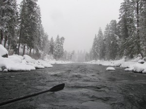 12419358_1064000756954492_1302477169307194482_o