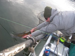 1935462_1064001243621110_8937691760477657048_n