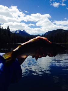 13174195_10209713456175905_305980814811600665_n