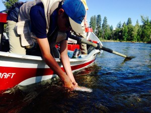 13316916_10209858642085462_8700686295343793444_o