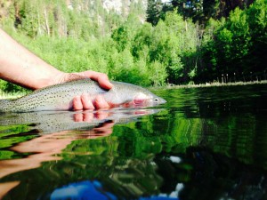 13315237_10209841909867167_3504471989222324079_n