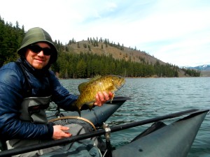 Fat lil' Patterson Smallie