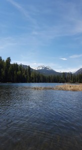 Black Pine Lk.